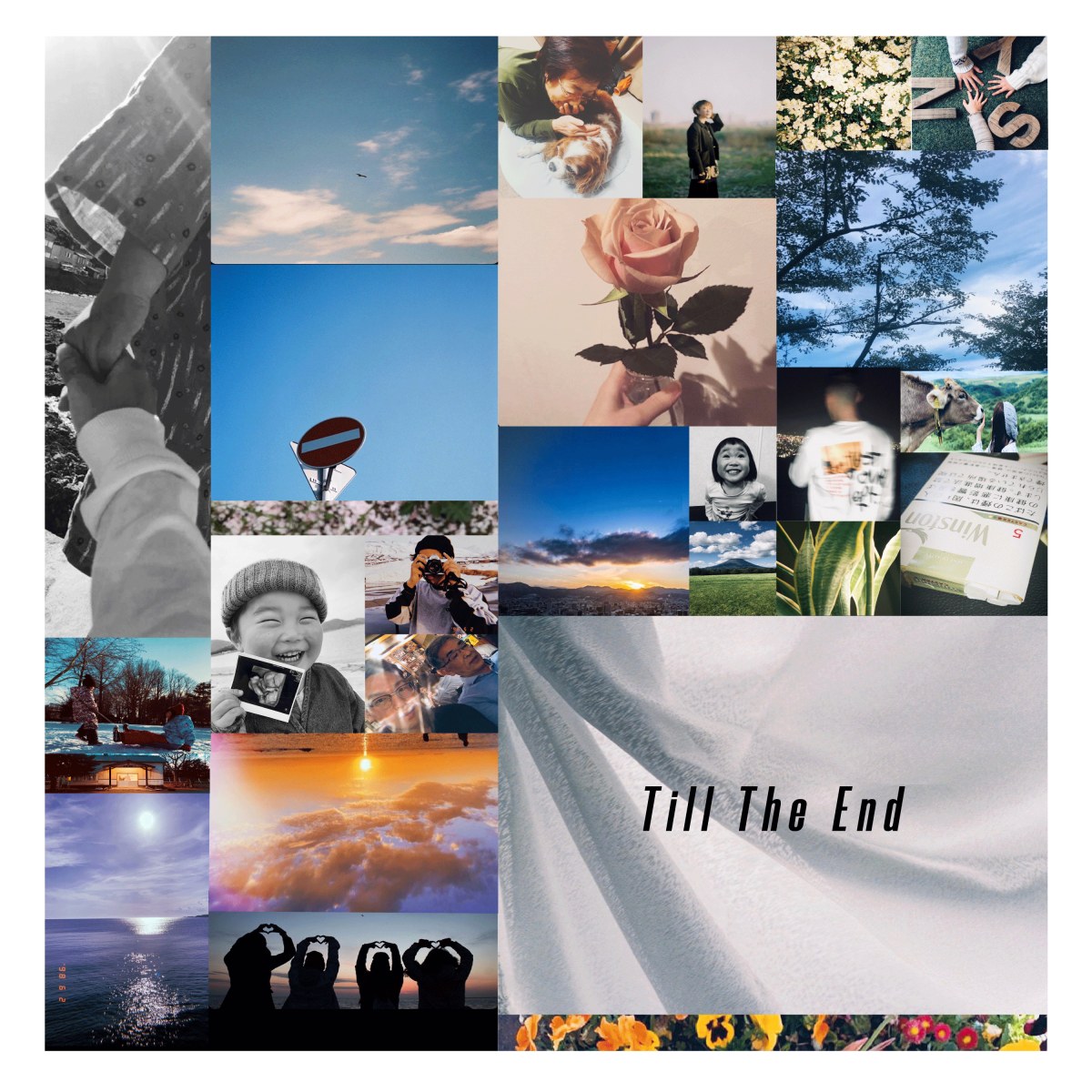 気鋭SSW・Furui Riho、盟友Jazadocumentとのコラボ曲「Till The End