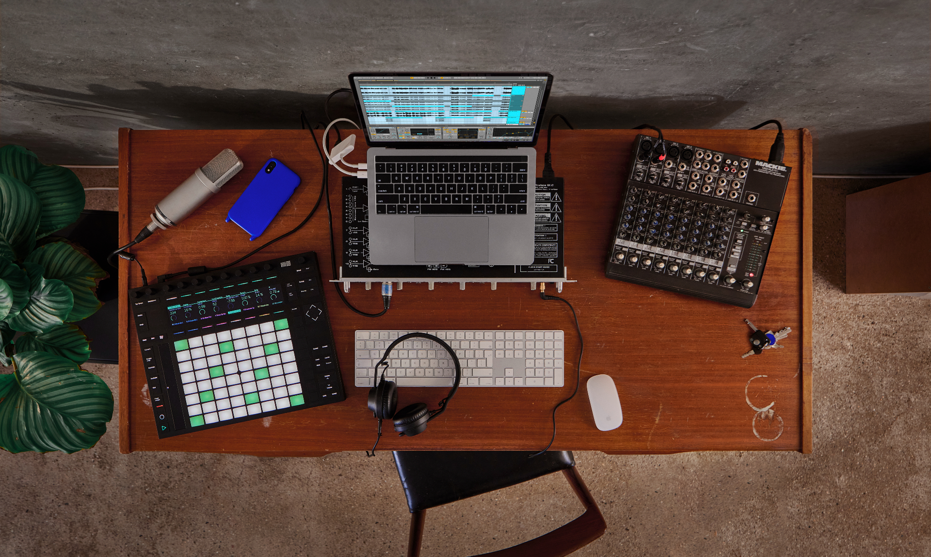 Ableton_Live11.